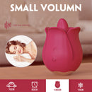 Rose Tongue Vibrator - Clitoral Stimulation 2.0 - xbelo