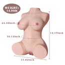Half Body Torso Sex Doll with plump Breast 15.43lb - Cici - xbelo