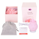 ROSETTE VIBE - xbelo